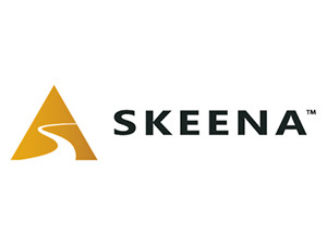 Skeena Resources Limited